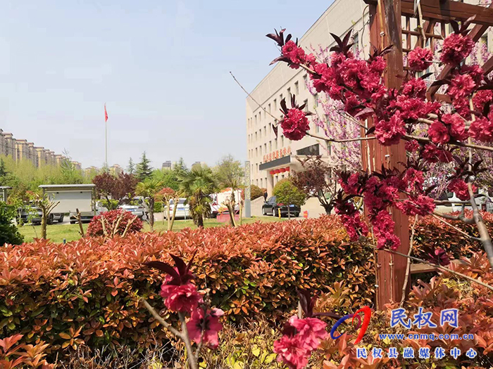 縣司法局傾力打造“園林式”機關 