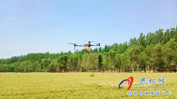 孫六鎮(zhèn)：無人機“飛防” 助農(nóng)提質(zhì)增效