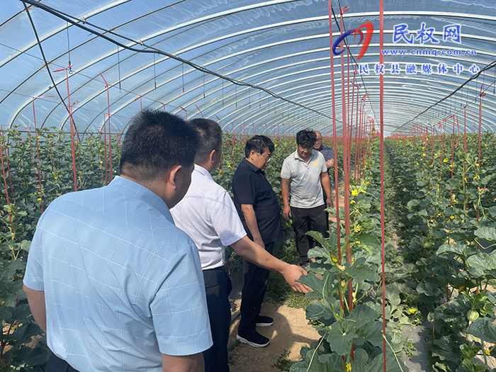 民權縣政協(xié)農業(yè)和農村委開展加快培育工廠化育苗產(chǎn)業(yè)調研