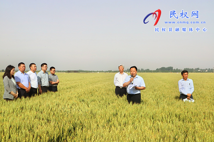 全省優(yōu)質(zhì)小麥單產(chǎn)提升暨規(guī)?；唵紊a(chǎn)現(xiàn)場(chǎng)觀摩會(huì)在民召開(kāi)