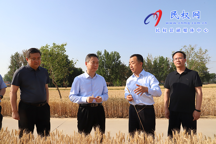 市長擺向陽到民調(diào)研督導“三夏”生產(chǎn)時強調(diào) 抓細抓實“三夏”各項工作 為全年糧食豐收奠定堅實基礎(chǔ)