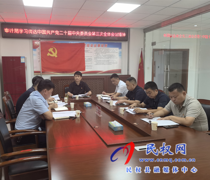 審計(jì)局學(xué)習(xí)傳達(dá)黨的二十屆三中全會(huì)精神