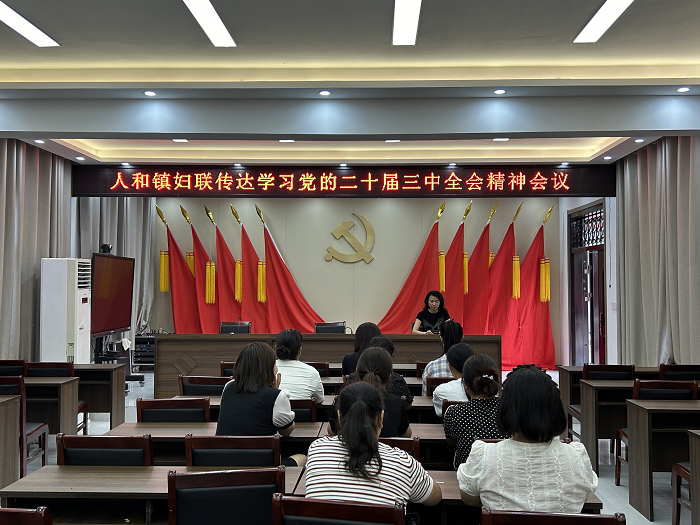 民權縣人和鎮(zhèn)婦聯(lián)學習宣傳貫徹黨的二十屆三中全會精神