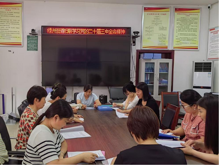 民權(quán)縣綠洲街道婦聯(lián)學(xué)習(xí)黨的二十屆三中全會精神宣講會