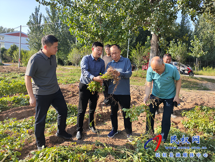 縣政協(xié)主席周明河到綠洲街道督導(dǎo)“三秋”生產(chǎn)、農(nóng)田排澇等工作
