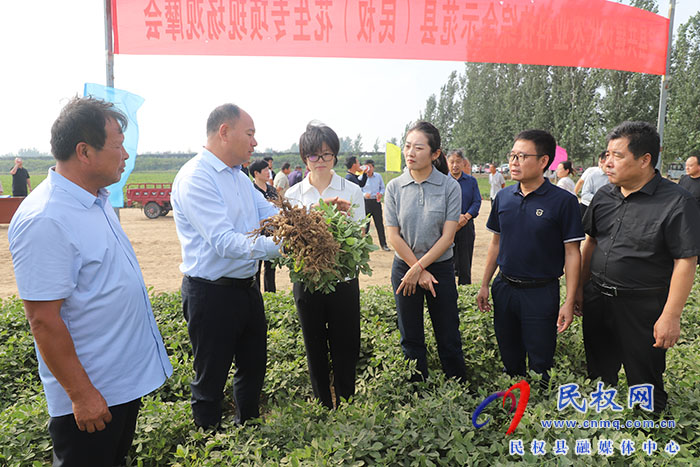 院縣共建現(xiàn)代農(nóng)業(yè)科技綜合示范縣（民權(quán)）花生專項(xiàng)現(xiàn)場(chǎng)觀摩會(huì)舉行