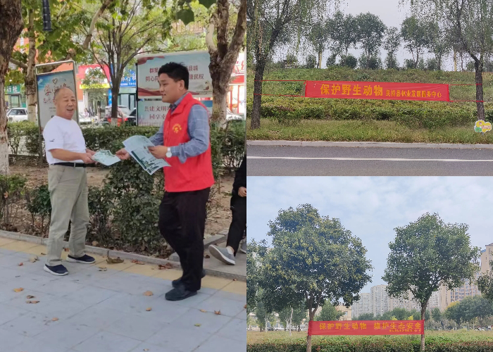 民權(quán)縣林業(yè)發(fā)展服務(wù)中心開展第三十個(gè)“野生動(dòng)物保護(hù)宣傳月”活動(dòng)