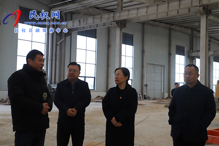 縣委書記王靜嫻調(diào)研重點項目建設(shè)工作