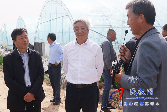 全國人大常委、中國工程院院士許為鋼到我縣院縣共建優(yōu)質(zhì)小麥產(chǎn)業(yè)化基地考察
